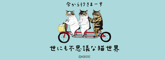 世にも不思議な猫世界